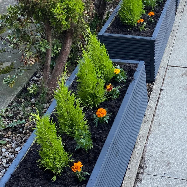 Custom Size Planter Quote
