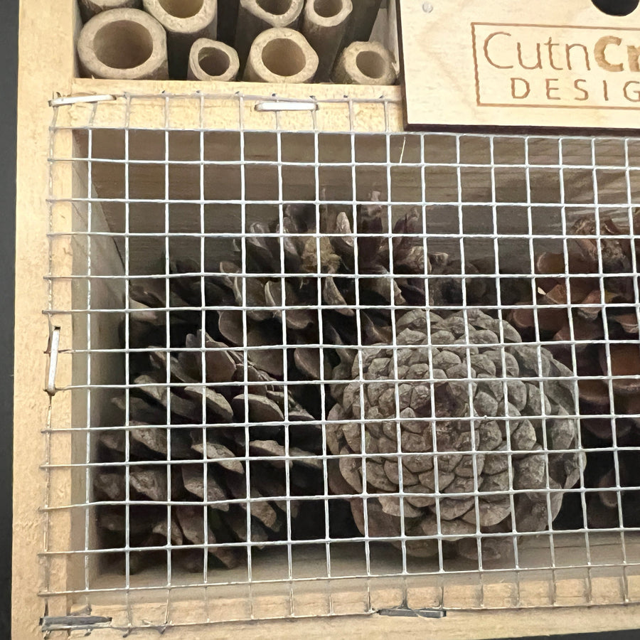 Close-up of the insect hotel's mesh-covered pine-cone chamber
